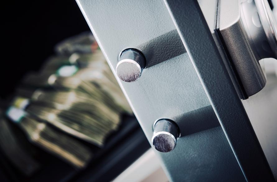 Close-up view of two metal heads on a safe with banknotes visible in the background.